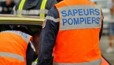 Européennes : les pompiers français et allemands demandent aux candidats de protéger l'engagement volontaire
