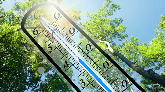 Les pouvoirs publics alertent contre un « épisode exceptionnel de canicule »