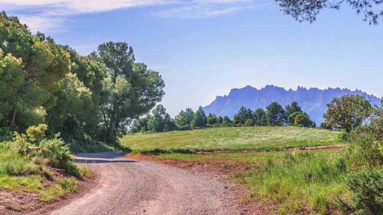 Les Communes Ont Elles L Obligation D Entretenir Les Chemins Ruraux Actualite Fonction Publique Territoriale