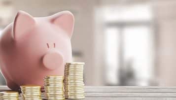 Lutte contre la pauvreté : le CESE pour un "revenu minimum garanti"