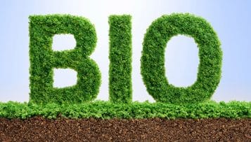 Belvès, en Dordogne, premier collège labellisé 100% bio de France