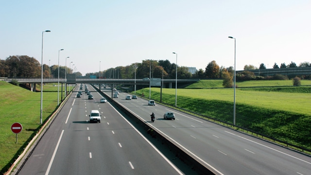 Cinq grandes villes dont Paris interdisent les pesticides sur leur territoire