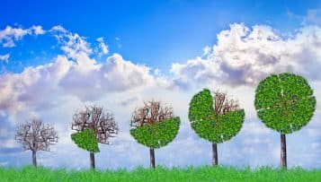 Inciter les campus à réaliser des achats responsables