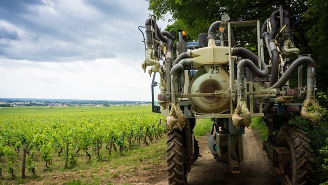 Pesticides : le gouvernement ouvre la consultation sur les zones d'épandage