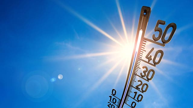 Canicules 2019 : des enseignements pour les étés à venir