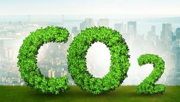 Climat et biodiversité : la France dans le rouge, selon un rapport officiel