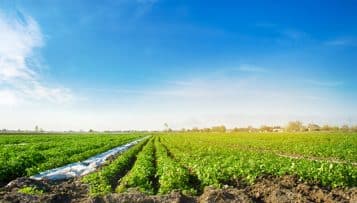 Les collectivités locales et l'application de la loi Egalim