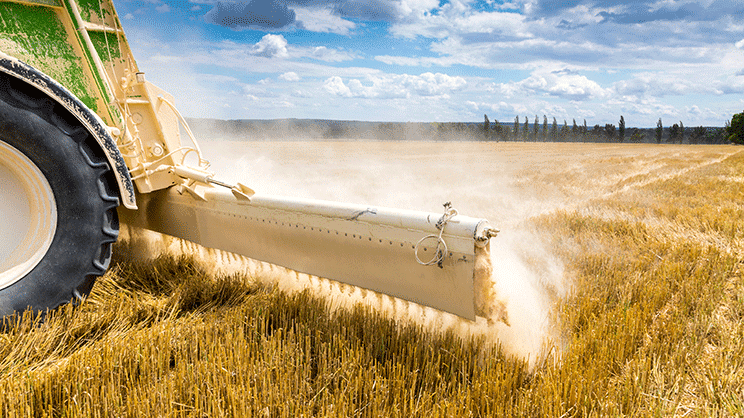 Les territoires peuvent demander un soutien pour leurs projets alimentaires