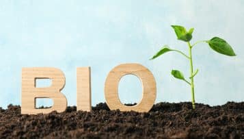 Bio en restauration collective : des stratégies pour réduire les coûts