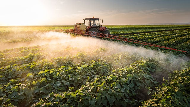 Un juge refuse de suspendre deux arrêtés anti-pesticides, première victoire selon les maires