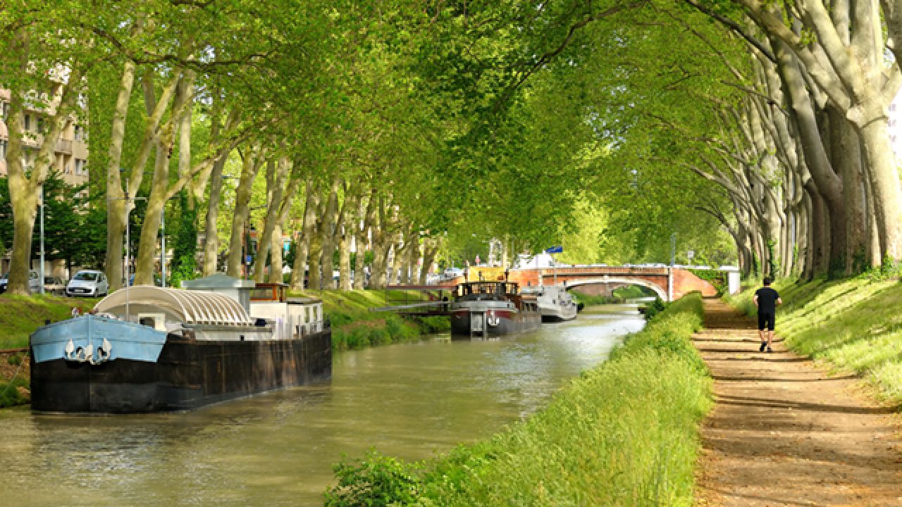 impact social et culturel canal du midi