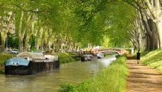 Un plan de gestion en vue pour le Canal du Midi