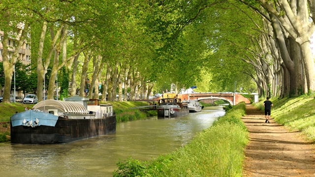 Un plan de gestion en vue pour le Canal du Midi