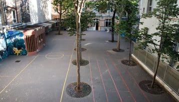 L’État prend le pouls des directeurs d’école