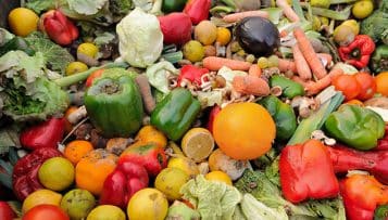 Terra Nova voudrait que la restauration scolaire accélère la transition alimentaire