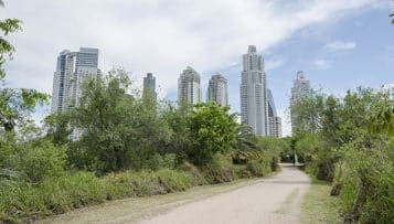 Développer la biodiversité urbaine