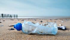 Municipales : Tara Océan appelle les candidats à s'engager contre la pollution plastique