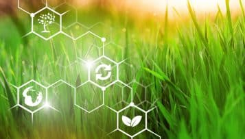 Environnement et agriculture en tête des préoccupations pour l'après-crise