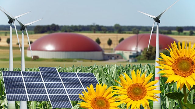 L'agriculture doit contribuer plus à la production d'énergies renouvelables