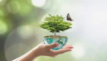 Crise sanitaire et biodiversité et s'il était enfin temps d'agir