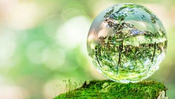 Bilan "décevant" pour la loi biodiversité