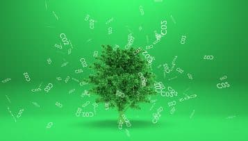 Cantines scolaires : il faut passer à deux menus végétariens par semaine