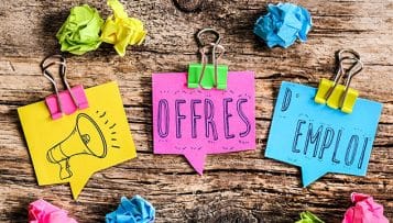 À quoi ressemble aujourd'hui l'emploi territorial ?