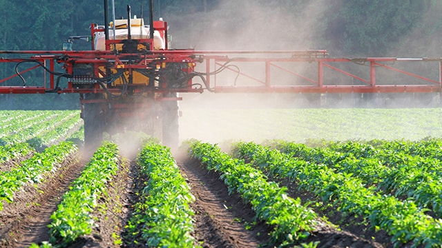 Les Outremers utilisent davantage de pesticides, à cause du climat et des insectes