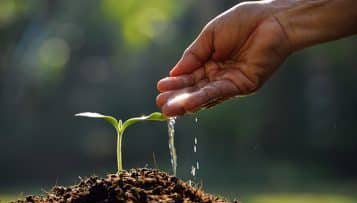 Sécheresses et ressource en eau : un nouveau décret d'encadrement