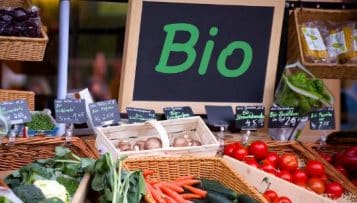 À Lyon, les cantines, laboratoire du "mieux manger"
