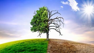 Climat : décision "historique", la justice ordonne au gouvernement d'en faire plus