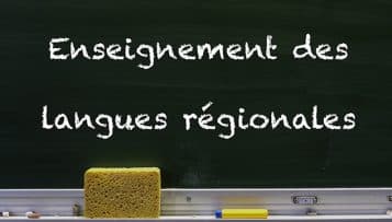 Langues régionales : un rapport remis à Jean Castex pour sécuriser l'apprentissage immersif