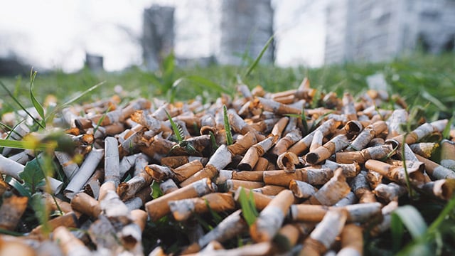 REP tabac : la chasse aux mégots de cigarettes est ouverte
