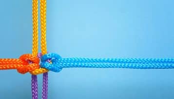 Police de sécurité du quotidien : des dynamiques variables selon les territoires