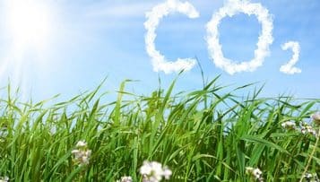 Un label bas-carbone pour dynamiser la lutte contre le changement climatique
