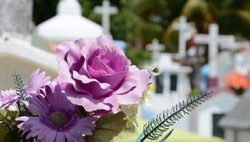 Évolutions de la famille : la Défenseure des droits recommande le toilettage du droit funéraire