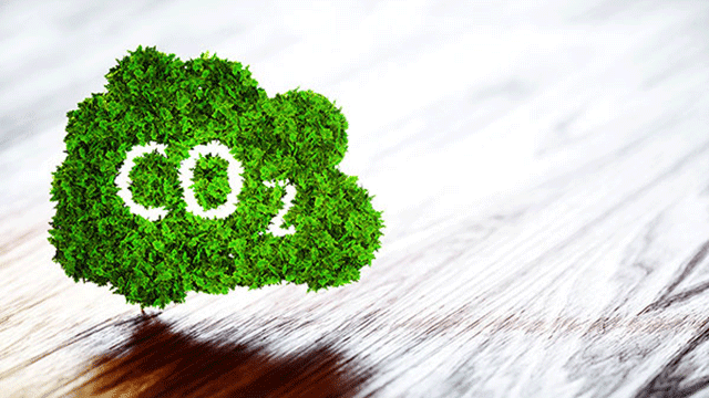 Agriculture : le Label bas-carbone, mode d'emploi