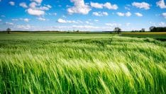 Des territoires visent l'objectif « Zéro artificialisation nette » en 2050