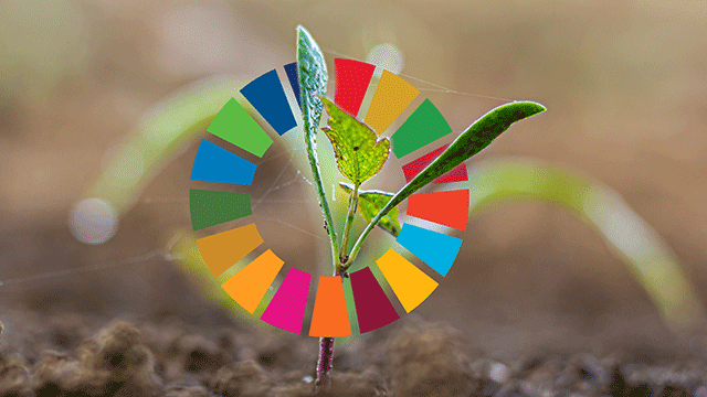 Développement durable : des territoires déterminés à atteindre les ODD