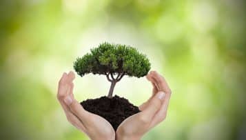 Le Cese recommande une stratégie nationale sur la transition énergétique