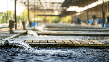 Service public de l'eau : la FNCCR craint une pénurie