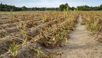 Le Gouvernement essaye d'anticiper la sécheresse