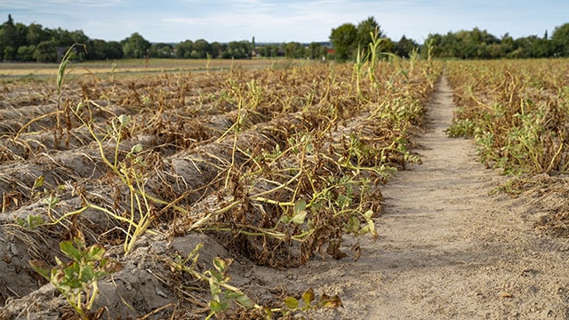 Le Gouvernement essaye d'anticiper la sécheresse