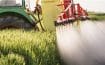 Les pesticides contaminent bien l'environnement, selon un rapport