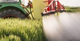 Les pesticides contaminent bien l’environnement, selon un rapport