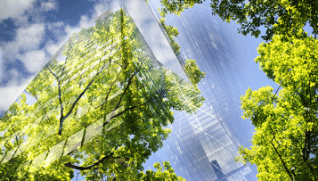 Aider les maires à faire de la nature un pilier de la ville de demain