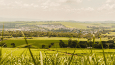 Artificialisation des sols : l'AMF saisit le Conseil d'État