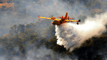 Le Gouvernement lance la campagne de prévention des feux de forêt 2022