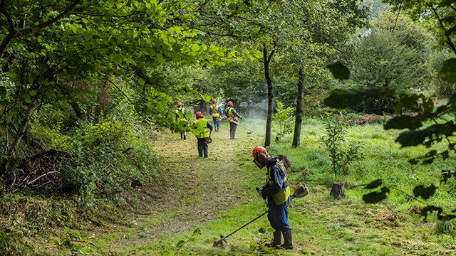 Débroussaillages, prévention, moyens : 70 propositions du Sénat contre les feux de forêt