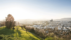 "Zéro artificialisation nette" : les sénateurs LR et centristes demandent un moratoire